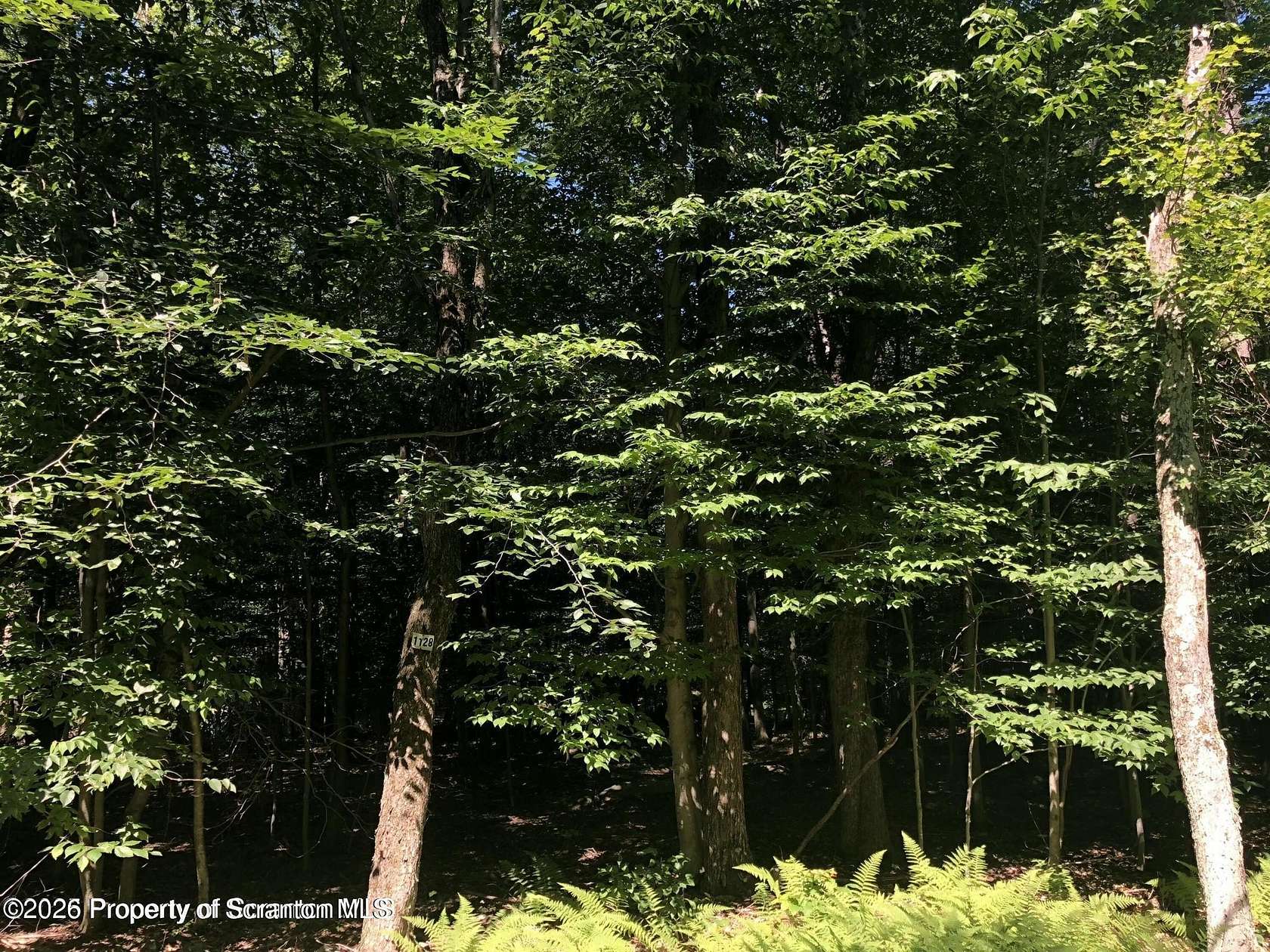 0.45 Acres of Residential Land for Sale in Clifton Township, Pennsylvania