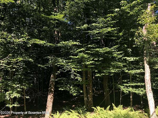 0.45 Acres of Residential Land for Sale in Clifton Township, Pennsylvania