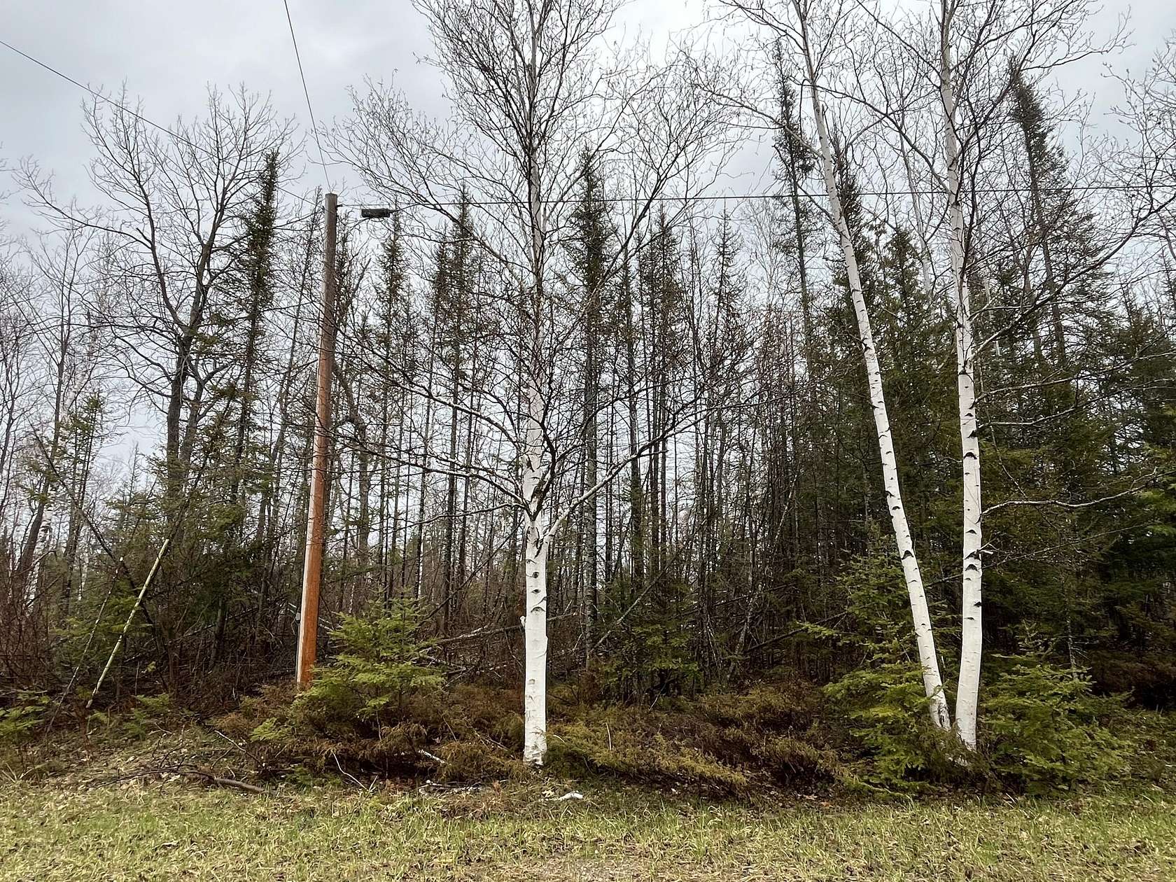 0.34 Acres of Residential Land for Sale in Presque Isle, Michigan