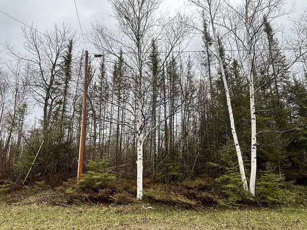 0.34 Acres of Residential Land for Sale in Presque Isle, Michigan