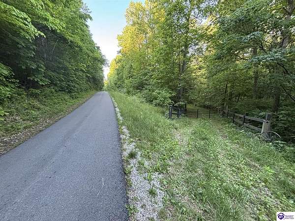 17.1 Acres of Land for Sale in Webster, Kentucky
