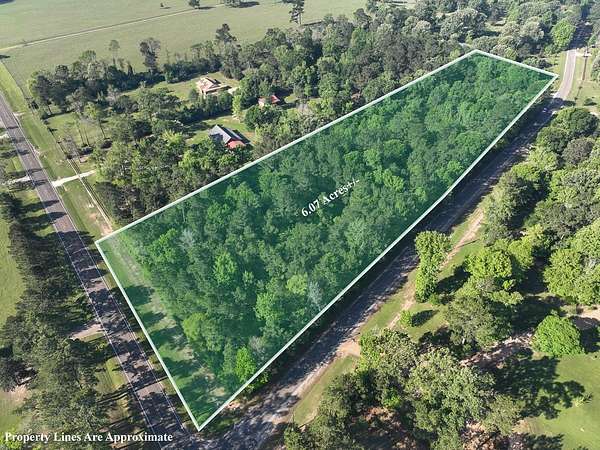 6 Acres of Residential Land for Sale in Livingston, Texas