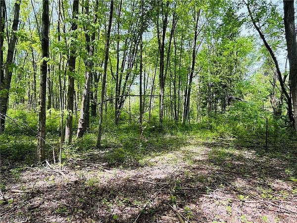 2.12 Acres of Residential Land for Sale in Madison, Ohio