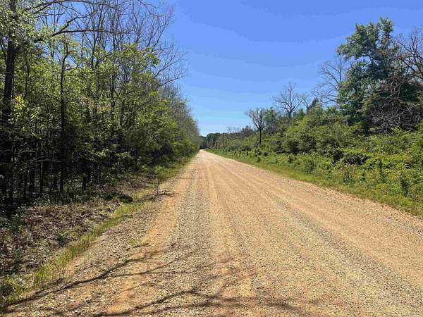 52.3 Acres of Recreational Land for Sale in Felsenthal, Arkansas