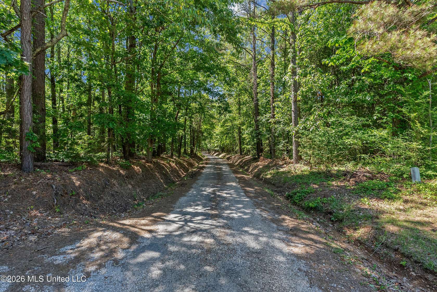 100 Acres of Land for Sale in Holly Springs, Mississippi