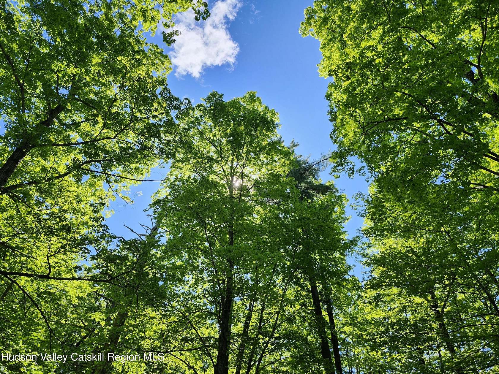 8 Acres of Residential Land for Sale in Olivebridge, New York