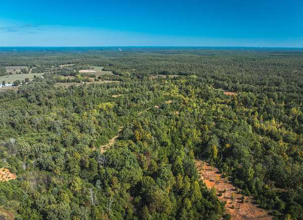 31 Acres of Recreational & Residential Land for Sale in Newburg, Missouri