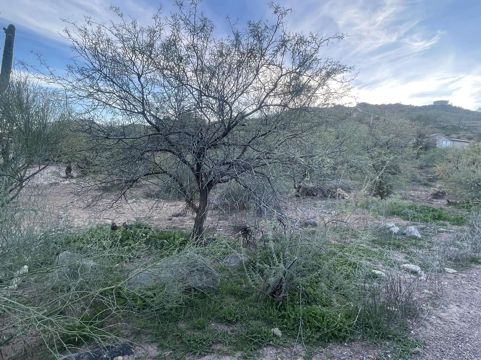 0.36 Acres of Residential Land for Sale in Tonto Basin, Arizona