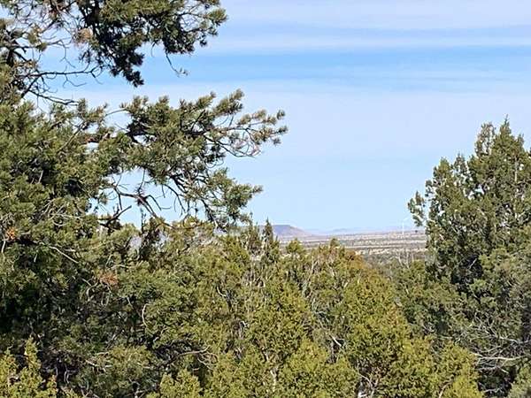 5.76 Acres of Land for Sale in Happy Jack, Arizona