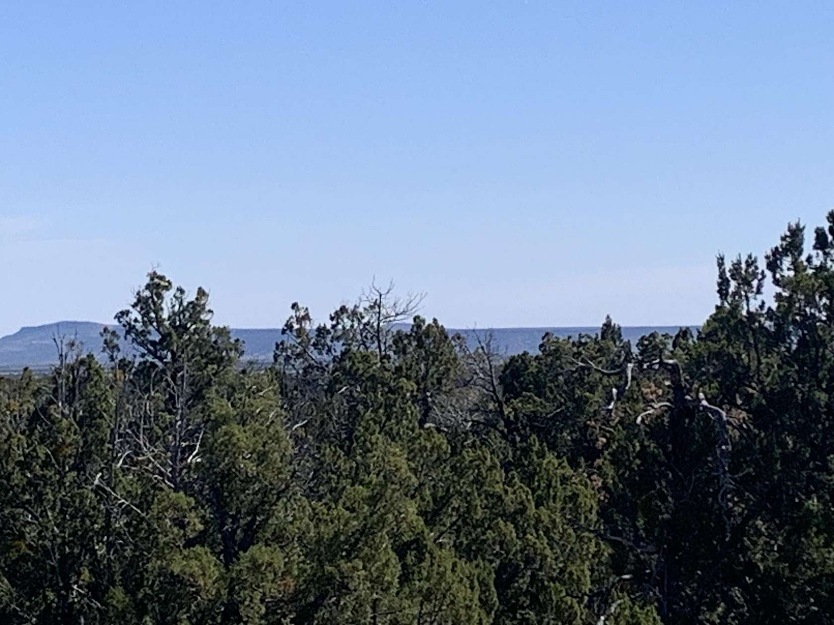 5 Acres of Land for Sale in Happy Jack, Arizona