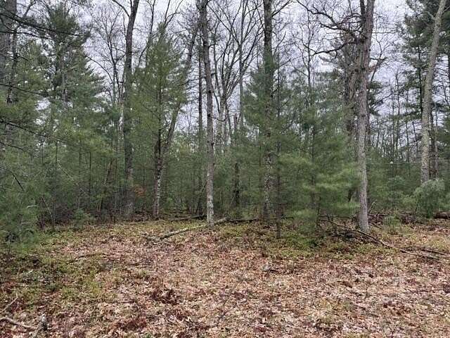 5 Acres of Land for Sale in Irons, Michigan