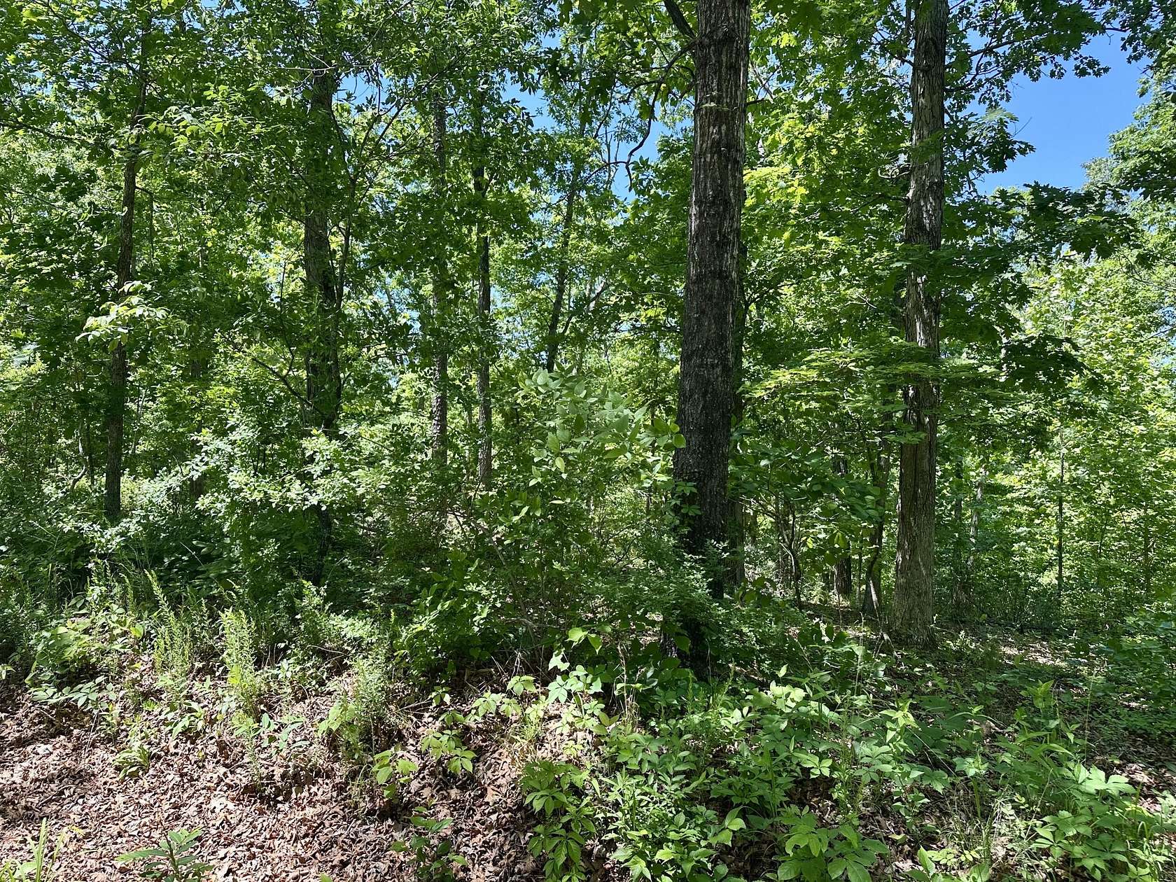 3.55 Acres of Land for Sale in Van Buren, Missouri