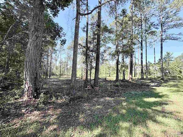 1.19 Acres of Residential Land for Sale in Milton, Florida
