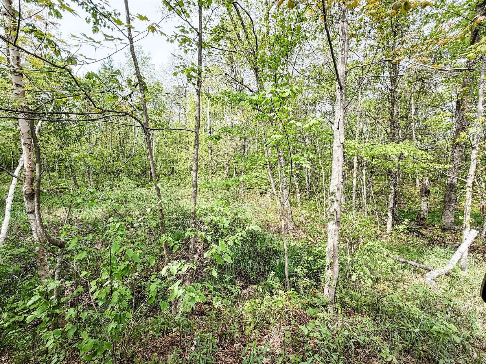 2 Acres of Residential Land for Sale in Wascott, Wisconsin