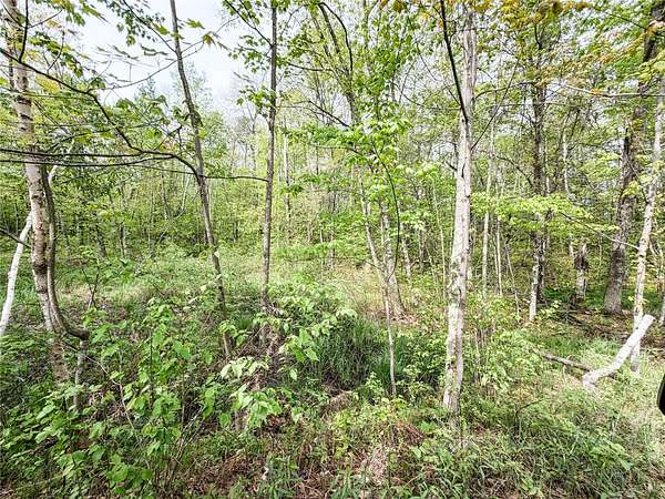 2 Acres of Residential Land for Sale in Wascott, Wisconsin