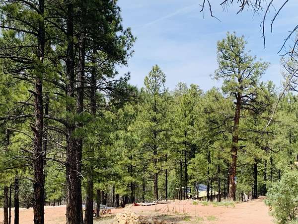 1.14 Acres of Residential Land for Sale in Happy Jack, Arizona
