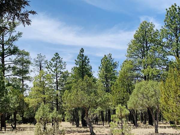 0.95 Acres of Residential Land for Sale in Happy Jack, Arizona