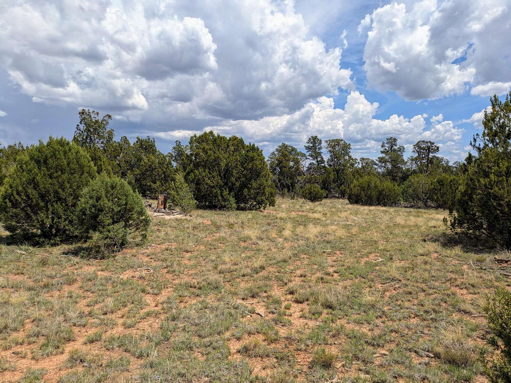 5 Acres of Residential Land for Sale in Happy Jack, Arizona