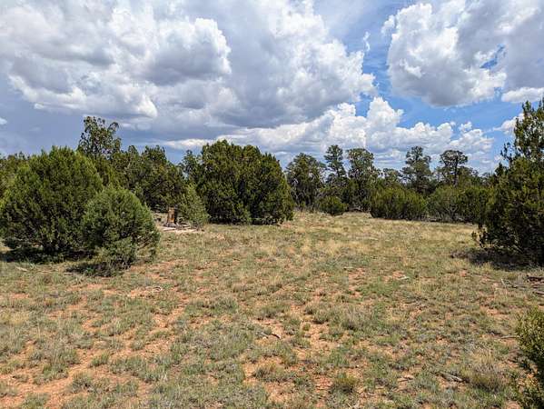 5 Acres of Residential Land for Sale in Happy Jack, Arizona