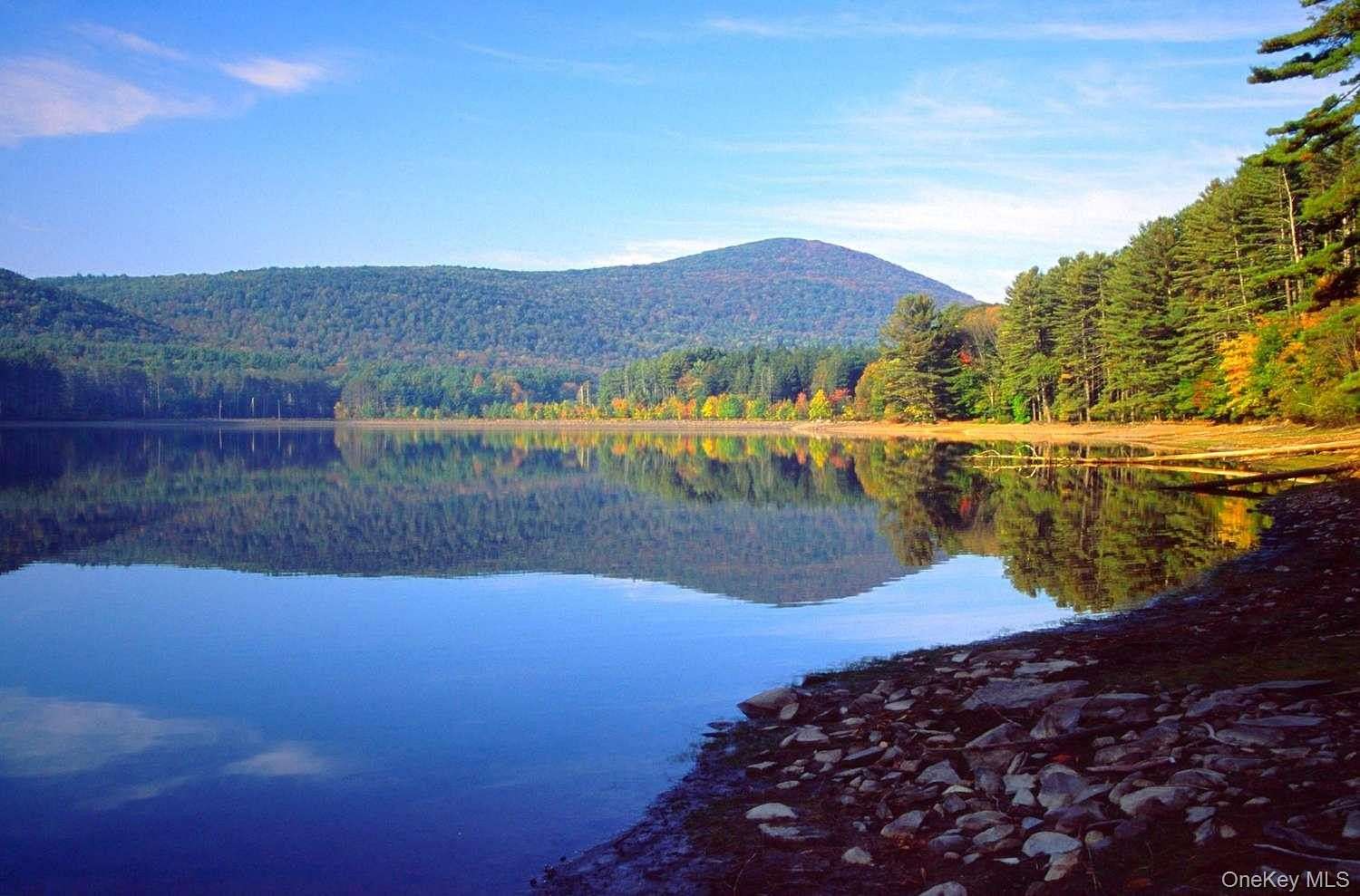 75.2 Acres of Recreational Land for Sale in Livingston Manor, New York