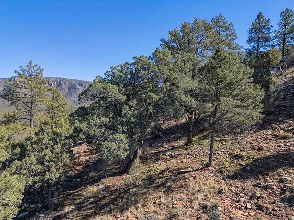 0.44 Acres of Residential Land for Sale in Pine, Arizona