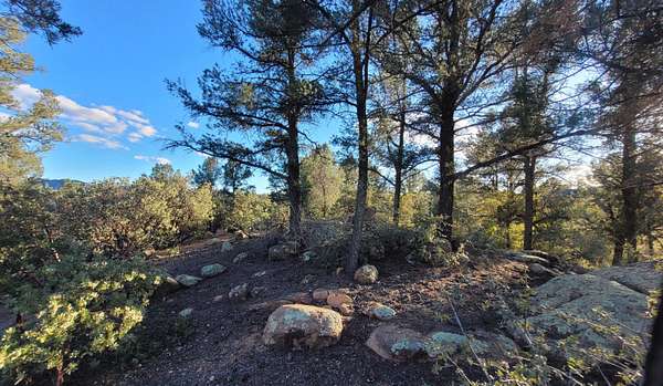 0.39 Acres of Residential Land for Sale in Payson, Arizona