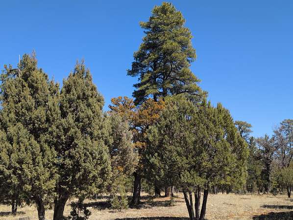 0.87 Acres of Residential Land for Sale in Happy Jack, Arizona