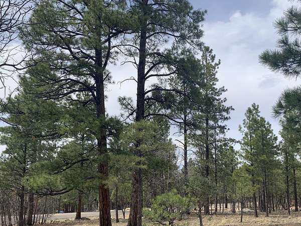 0.99 Acres of Residential Land for Sale in Happy Jack, Arizona