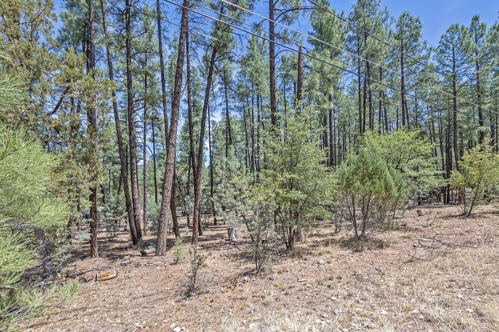 0.33 Acres of Residential Land for Sale in Pine, Arizona
