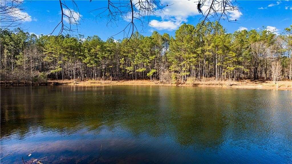 34 Acres of Recreational Land for Sale in Ellerslie, Georgia