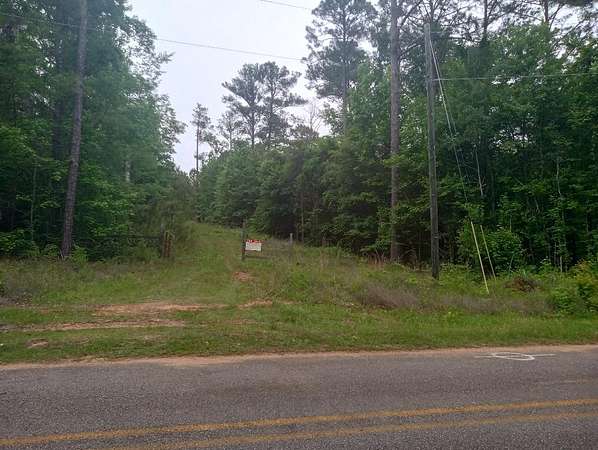 2.8 Acres of Residential Land for Sale in Camp Hill, Alabama