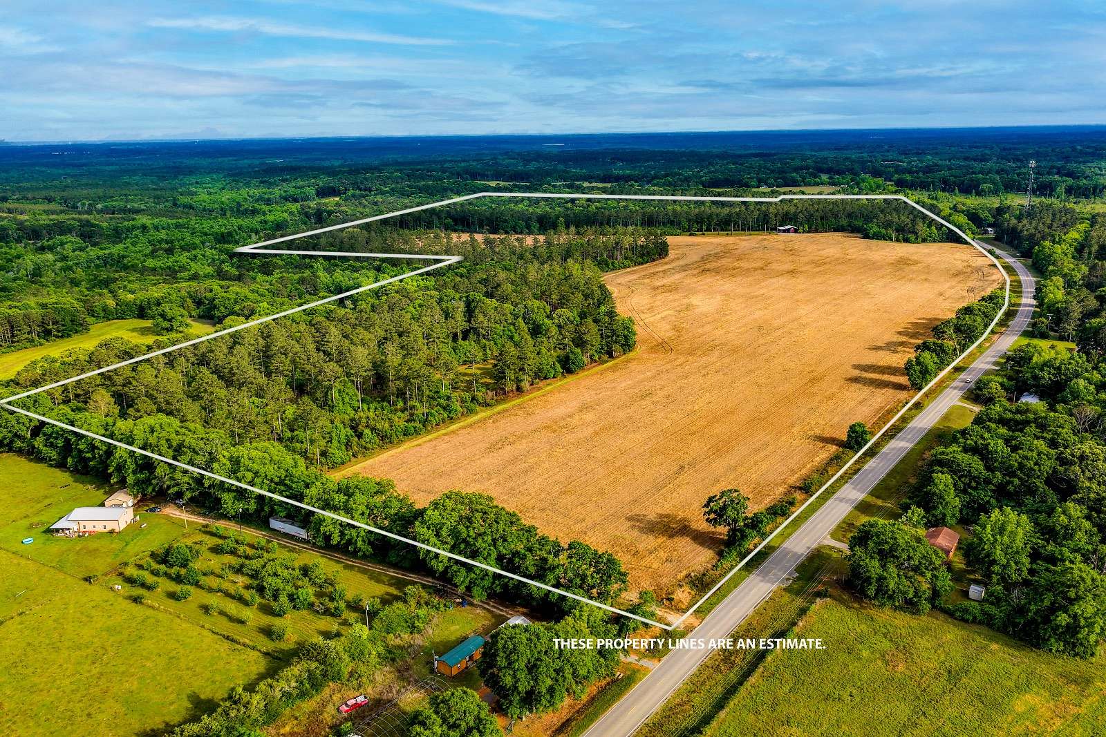 136 Acres of Land for Sale in Dozier, Alabama