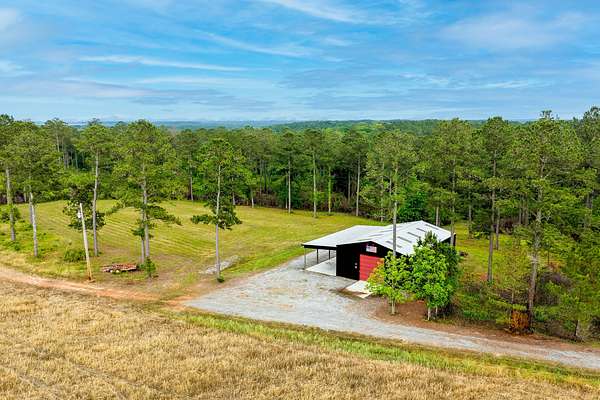 136 Acres of Land for Sale in Dozier, Alabama