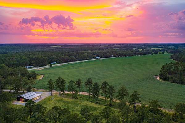 136 Acres of Land for Sale in Dozier, Alabama
