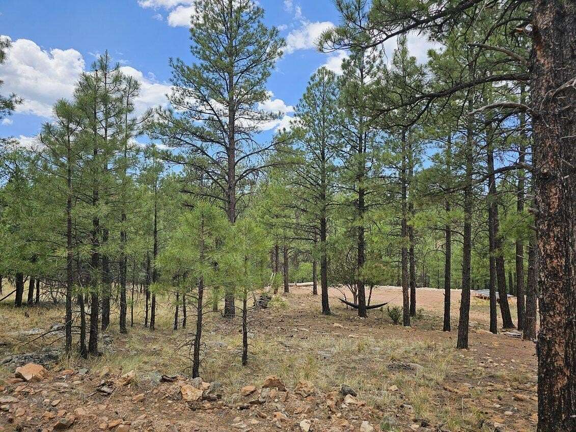1.17 Acres of Residential Land for Sale in Happy Jack, Arizona
