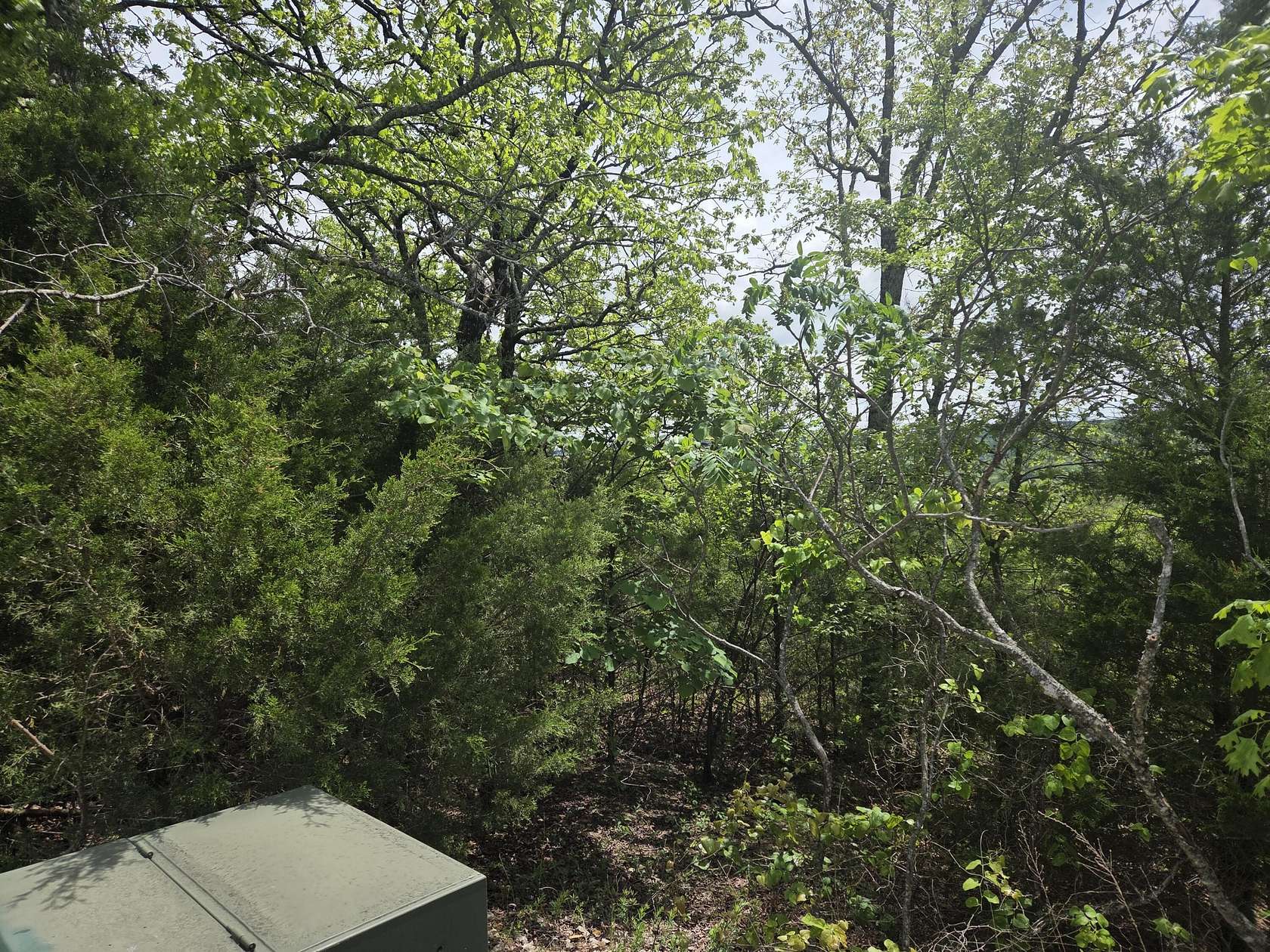 1 Acre of Residential Land for Sale in Reeds Spring, Missouri