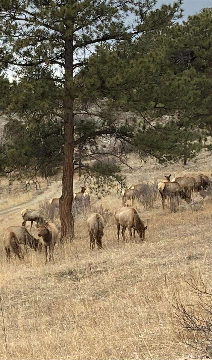 1.83 Acres of Land with Home for Sale in Bailey, Colorado