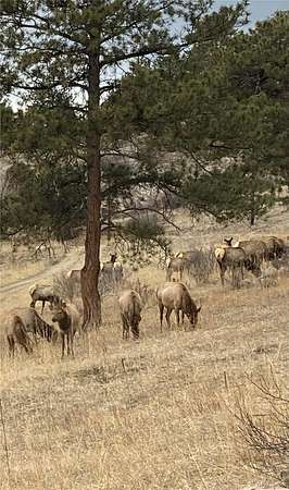 1.83 Acres of Land with Home for Sale in Bailey, Colorado