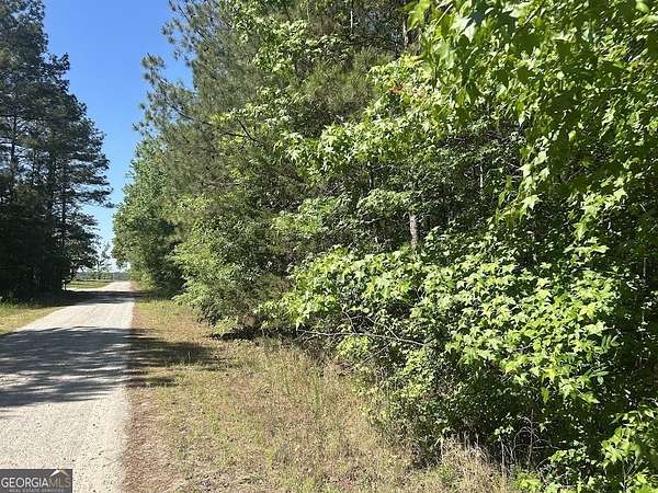 4.13 Acres of Land for Sale in Bowdon, Georgia