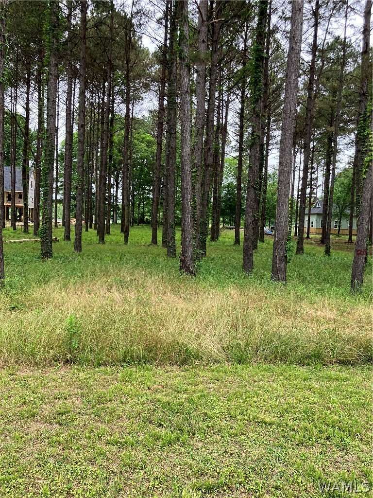 1 Acre of Residential Land for Sale in Akron, Alabama