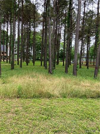 1 Acre of Residential Land for Sale in Akron, Alabama