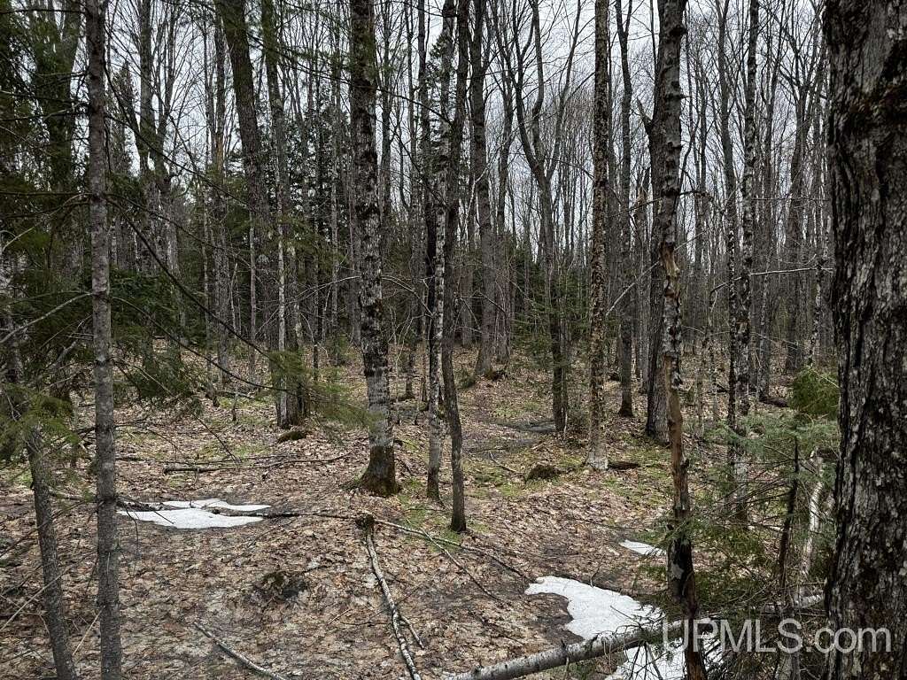 38 Acres of Recreational Land for Sale in Nisula, Michigan