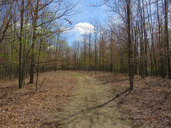 40 Acres of Recreational Land for Sale in Mount Pleasant, Michigan