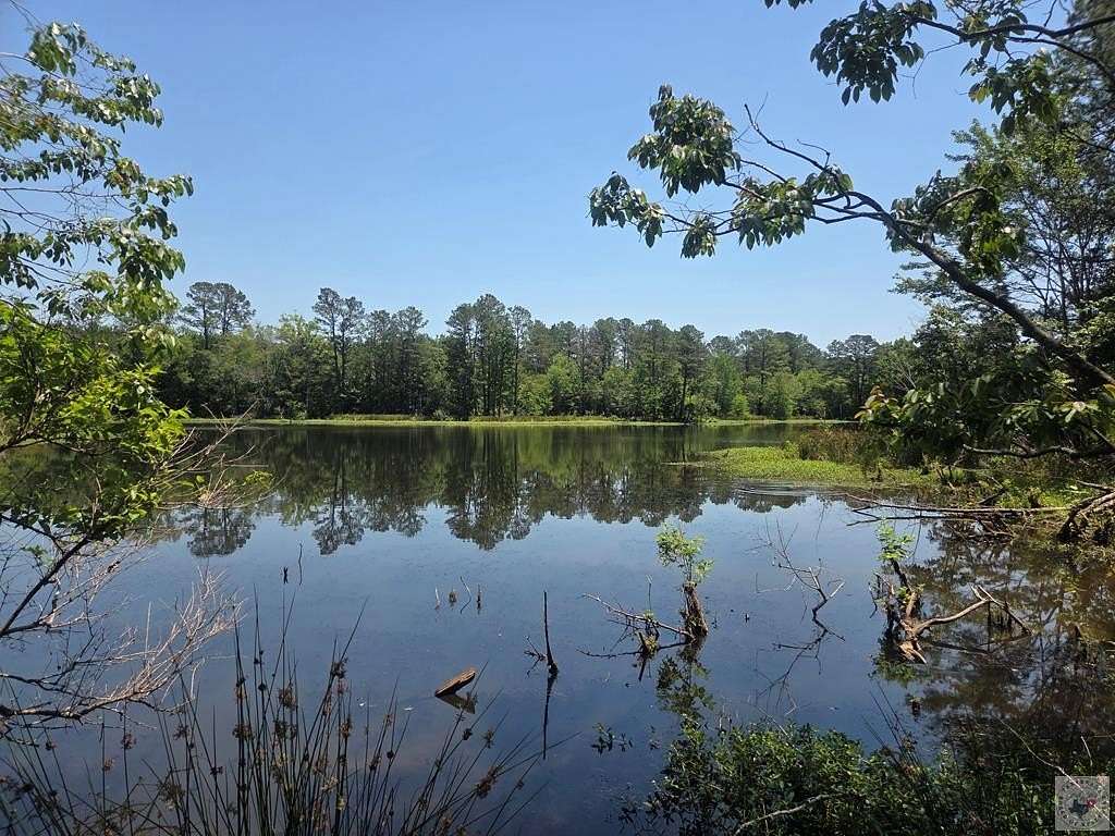 14.4 Acres of Land for Sale in Redwater, Texas