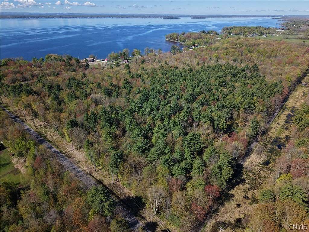 40.6 Acres of Recreational & Residential Land for Sale in Constantia, New York
