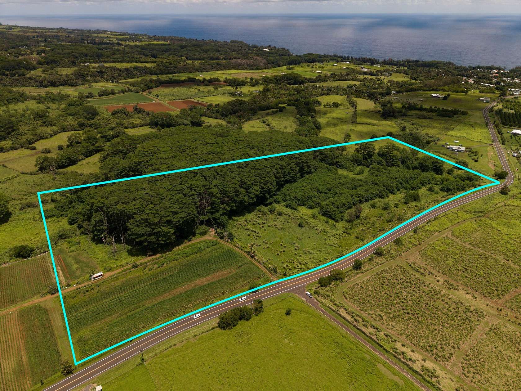 23.1 Acres of Agricultural Land for Sale in Honomu, Hawaii