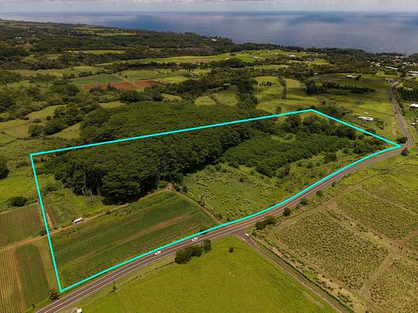 23.1 Acres of Agricultural Land for Sale in Honomu, Hawaii