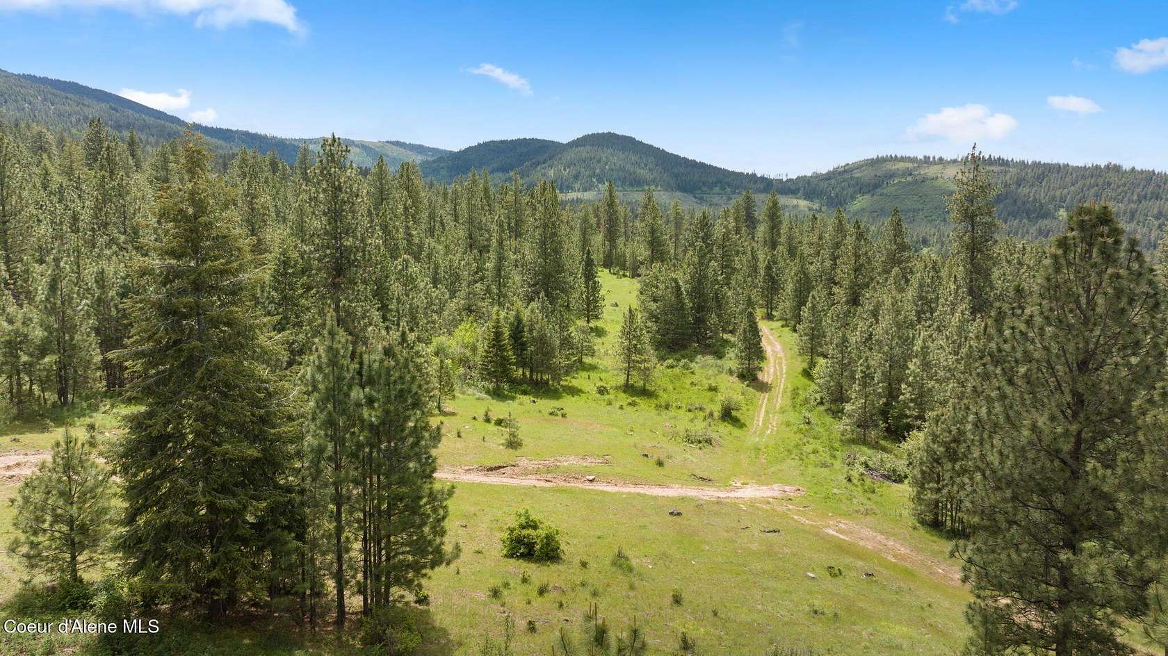 50 Acres of Land for Sale in Post Falls, Idaho