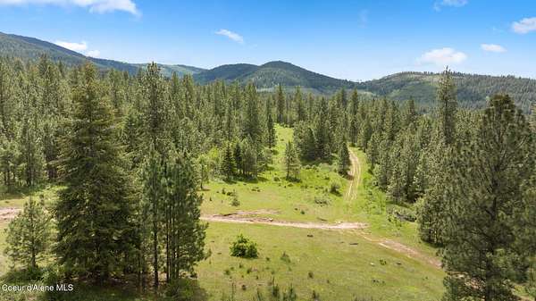 50 Acres of Land for Sale in Post Falls, Idaho