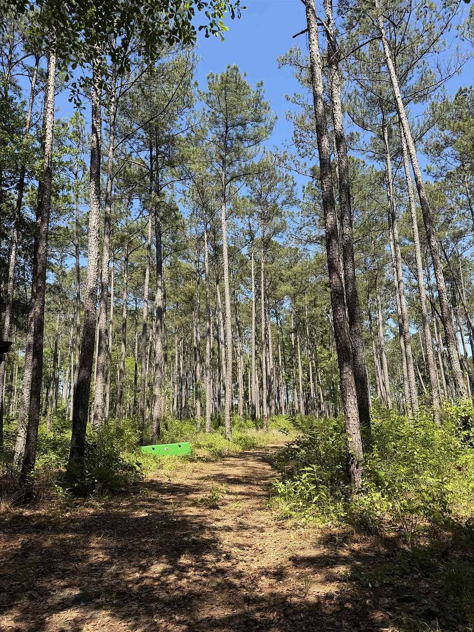 18.9 Acres of Recreational & Residential Land for Sale in Chattahoochee, Florida
